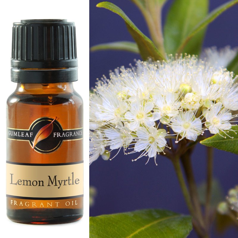 Fragrant Oil Lemon Myrtle