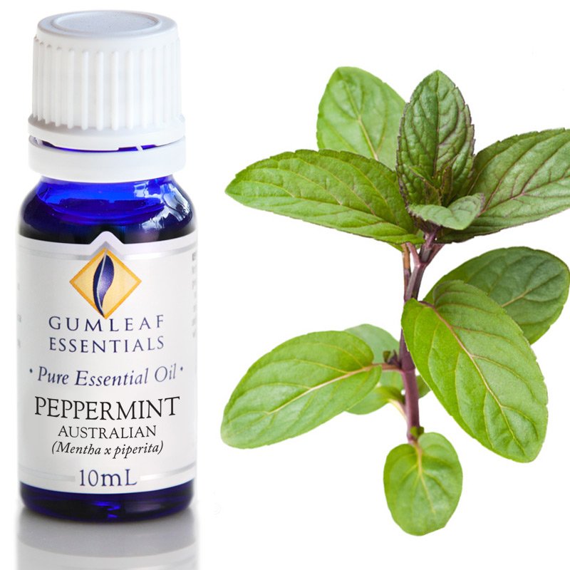 Essential Oil Peppermint Australian