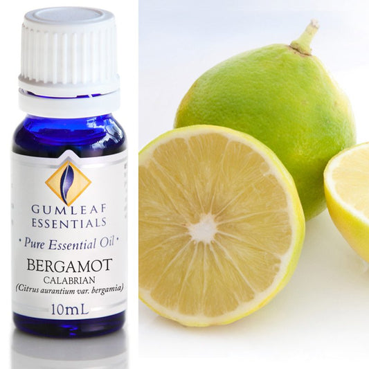 Essential Oil Bergamot