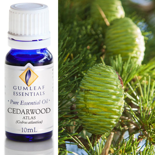 Essential Oil Cedarwood Atlas