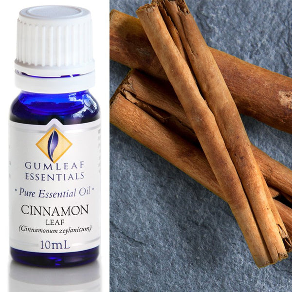 Essential Oil Cinnamon leaf