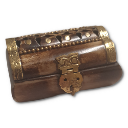 Bone Brass Trinket Box