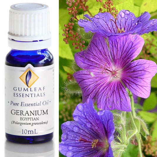 Essential Oil Geranium