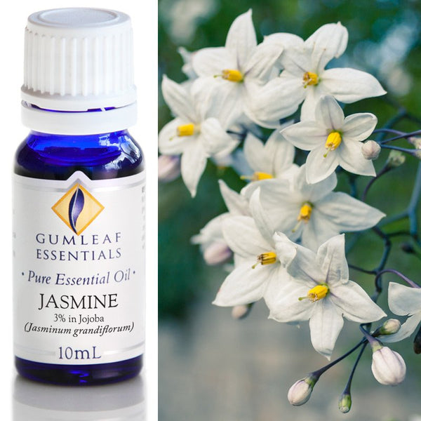 Essential Oil Jasmine 3Percent