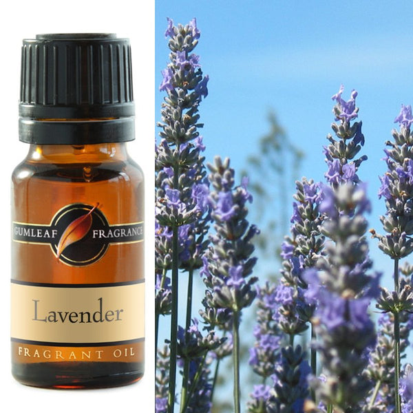 Fragrant Oil Lavender