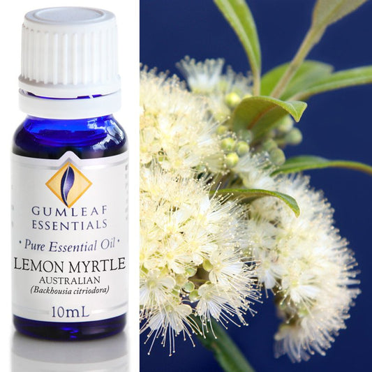 Essential Oil Lemon Mytrle Aus