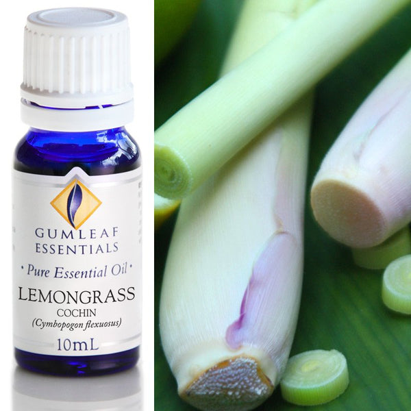 Essential Oil Lemongrass Cochin