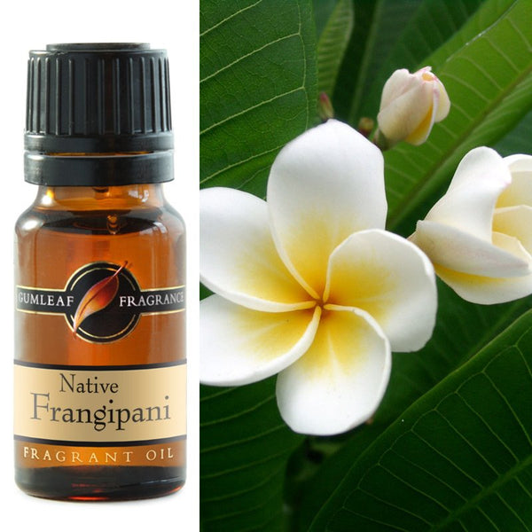 Fragrant Oil Native Frangipani