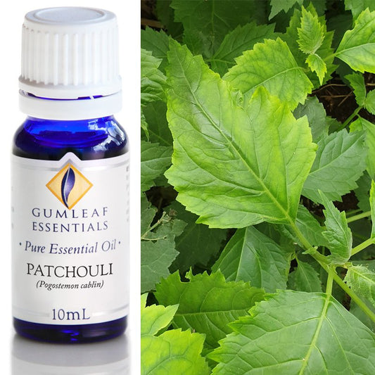 Essential Oil Patchouli