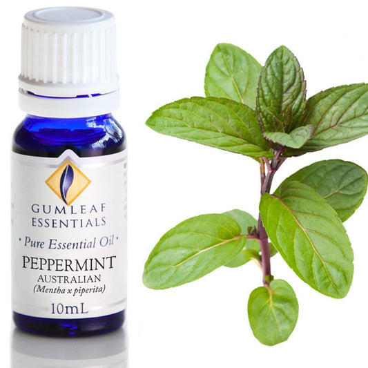 Essential Oil Peppermint Australian