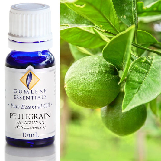 Essential Oil Petigrain Paraguayan