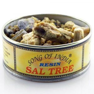 Sal Tree Natural Resin 60gm
