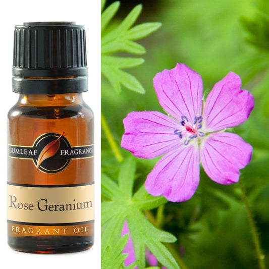 Fragrant Oil Rose Geranium