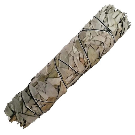 White Sage Stick Large
