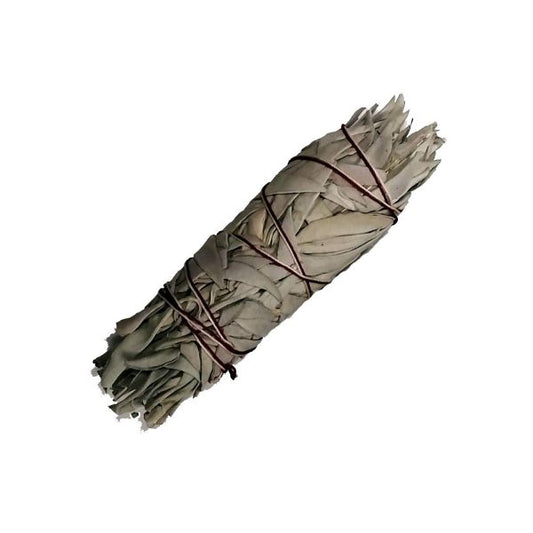 White Sage Stick Medium